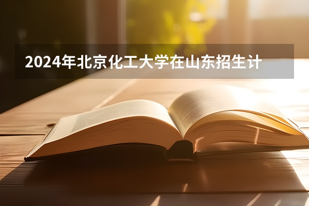 2024年北京化工大学在山东招生计划介绍