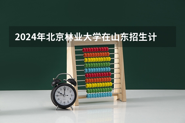 2024年北京林业大学在山东招生计划介绍