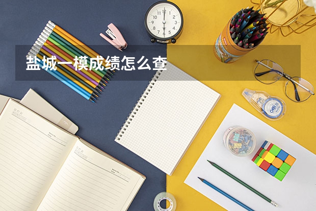 盐城一模成绩怎么查