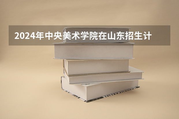 2024年中央美术学院在山东招生计划介绍