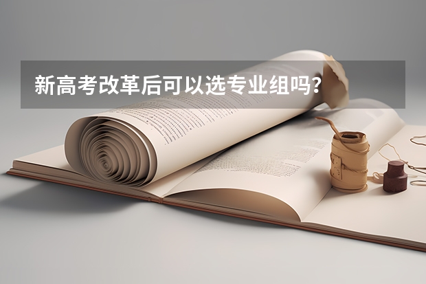 新高考改革后可以选专业组吗？