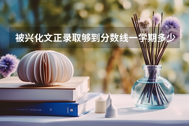 被兴化文正录取够到分数线一学期多少钱