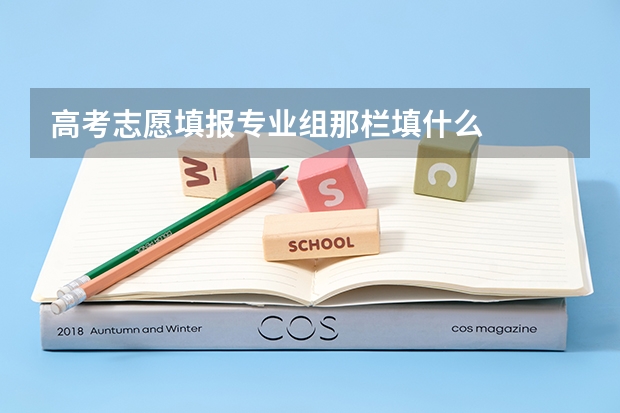 高考志愿填报专业组那栏填什么