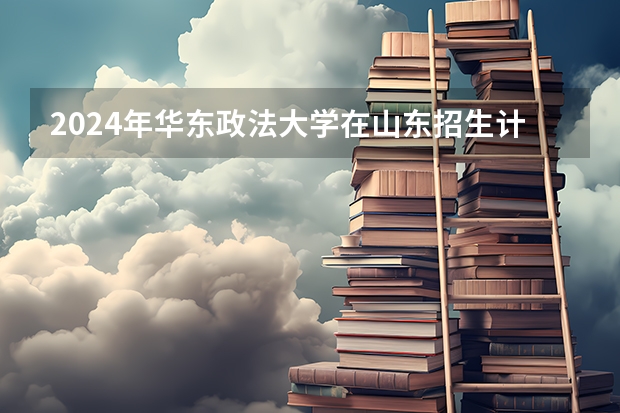 2024年华东政法大学在山东招生计划介绍