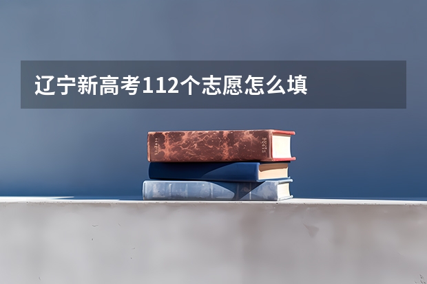 辽宁新高考112个志愿怎么填