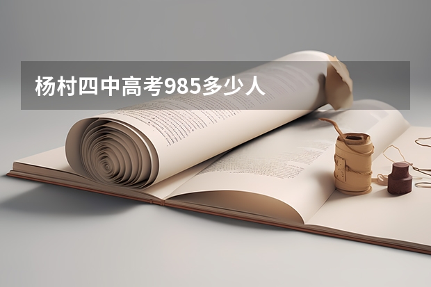 杨村四中高考985多少人