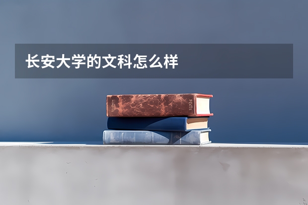 长安大学的文科怎么样