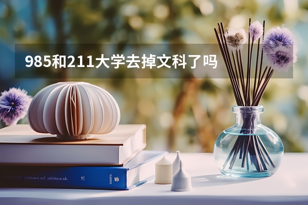 985和211大学去掉文科了吗