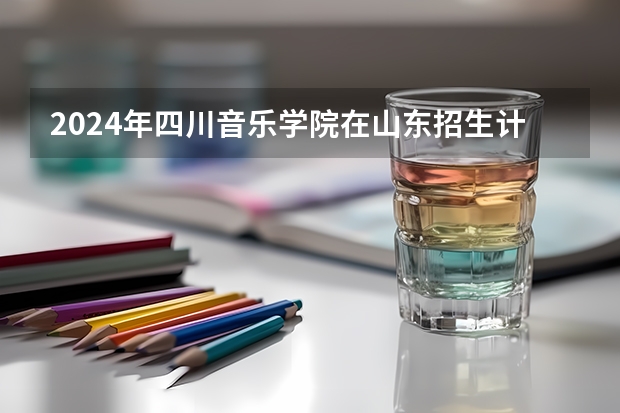 2024年四川音乐学院在山东招生计划介绍