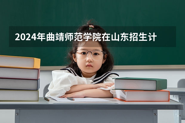 2024年曲靖师范学院在山东招生计划介绍