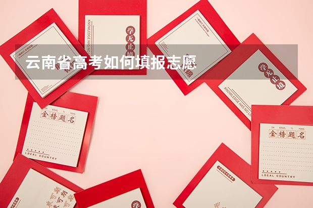 云南省高考如何填报志愿