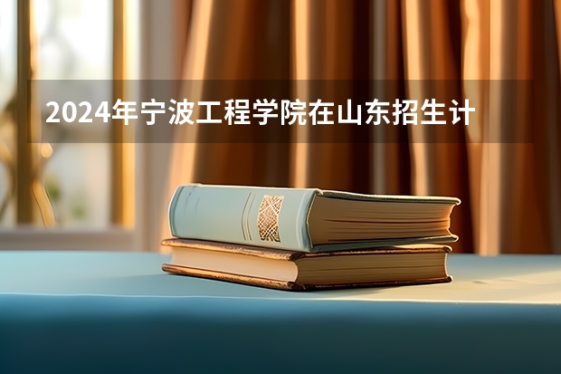2024年宁波工程学院在山东招生计划介绍