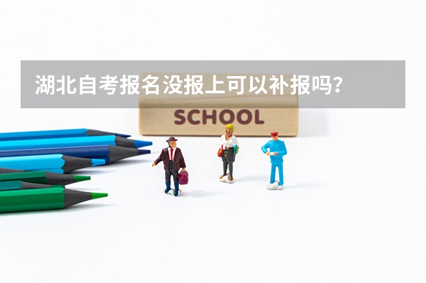 湖北自考报名没报上可以补报吗?