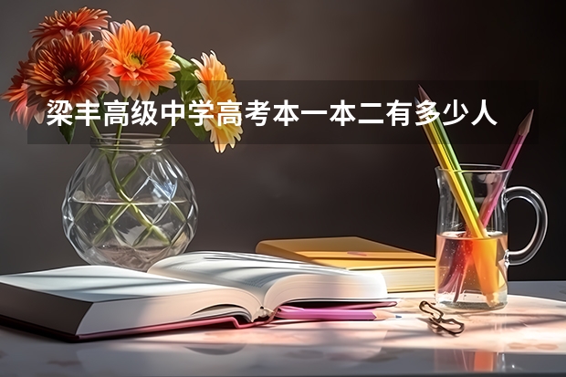 梁丰高级中学高考本一本二有多少人