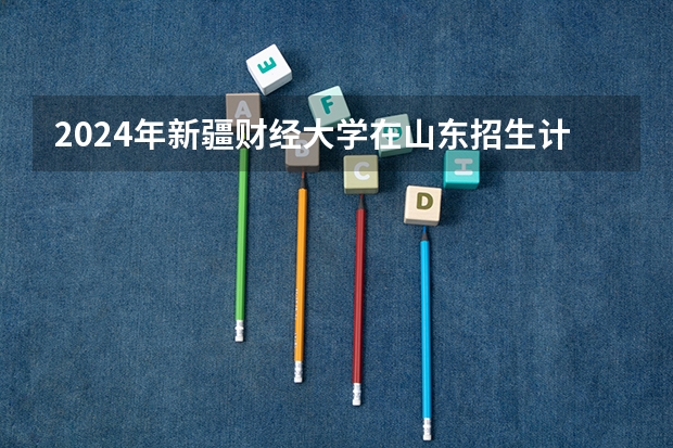 2024年新疆财经大学在山东招生计划介绍