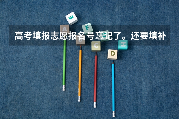 高考填报志愿报名号忘记了。还要填补录志愿，怎么办啊？急！！！
