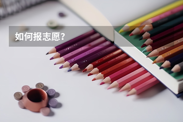 如何报志愿？