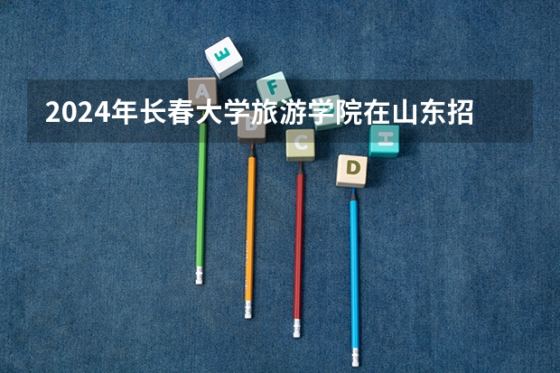 2024年长春大学旅游学院在山东招生计划介绍