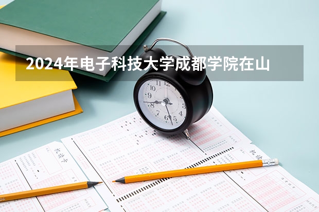 2024年电子科技大学成都学院在山东招生计划介绍