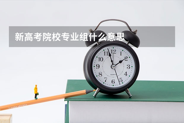新高考院校专业组什么意思