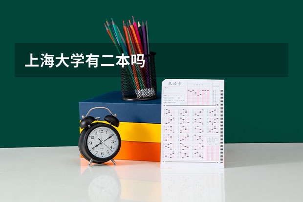 上海大学有二本吗