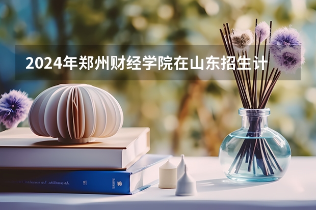2024年郑州财经学院在山东招生计划介绍