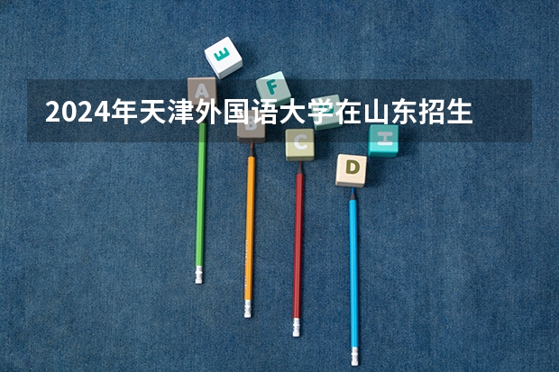 2024年天津外国语大学在山东招生计划介绍