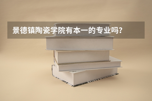 景德镇陶瓷学院有本一的专业吗？