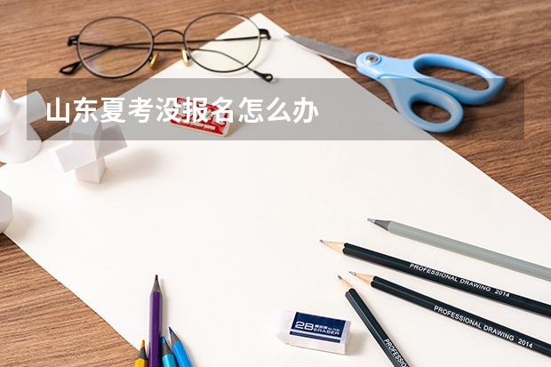 山东夏考没报名怎么办