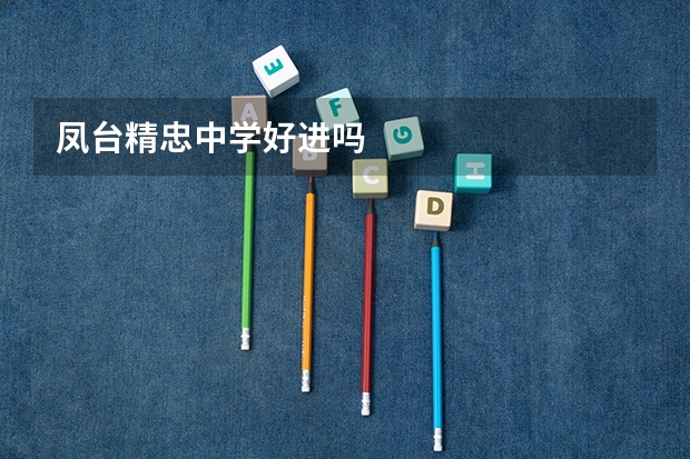 凤台精忠中学好进吗