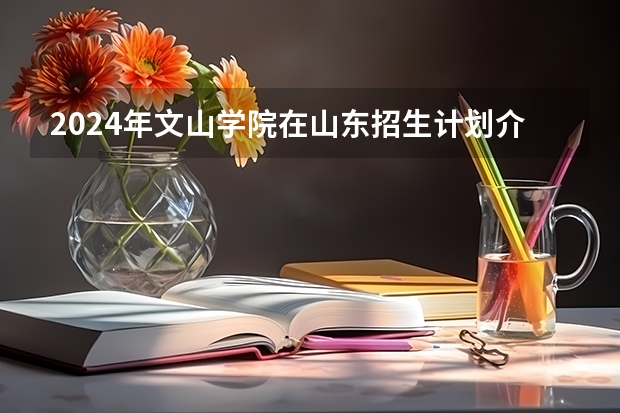 2024年文山学院在山东招生计划介绍