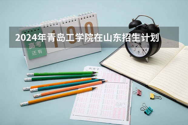 2024年青岛工学院在山东招生计划介绍