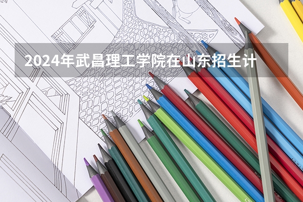 2024年武昌理工学院在山东招生计划介绍