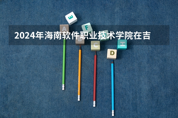 2024年海南软件职业技术学院在吉林招生计划介绍