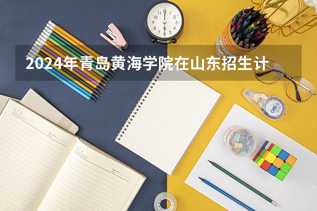 2024年青岛黄海学院在山东招生计划介绍