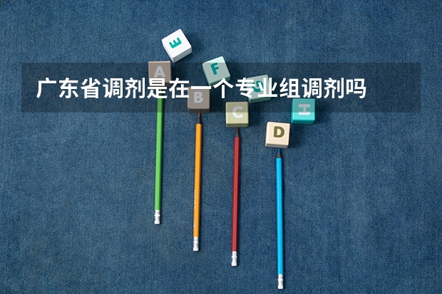 广东省调剂是在一个专业组调剂吗