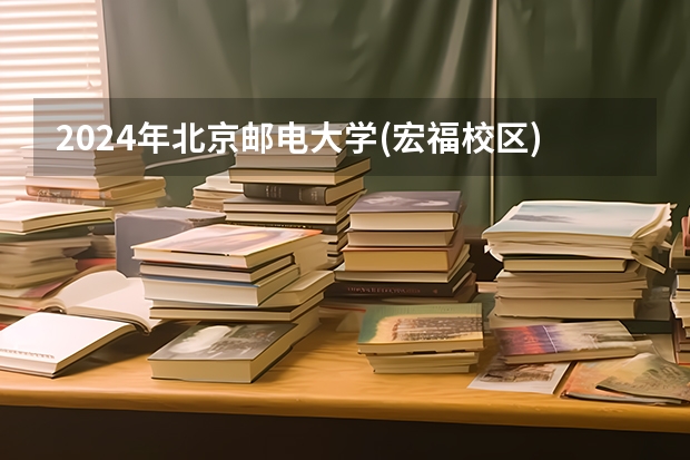 2024年北京邮电大学(宏福校区)在山东招生计划介绍