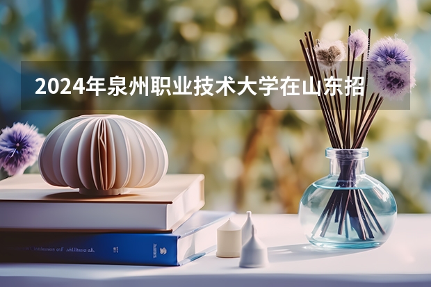 2024年泉州职业技术大学在山东招生计划介绍