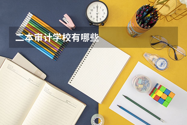 二本审计学校有哪些