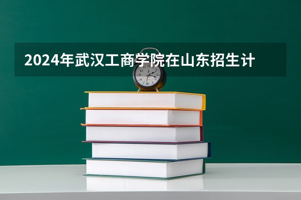 2024年武汉工商学院在山东招生计划介绍