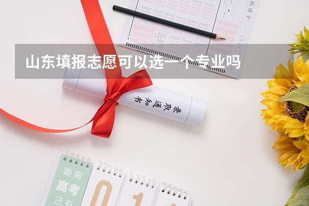 山东填报志愿可以选一个专业吗