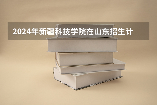 2024年新疆科技学院在山东招生计划介绍