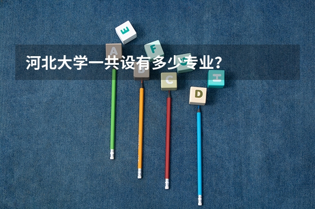 河北大学一共设有多少专业？