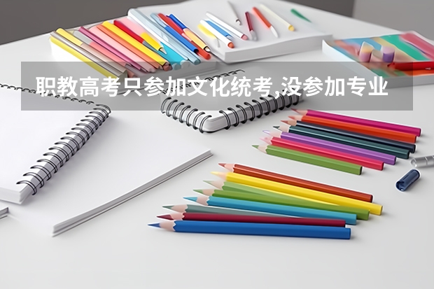 职教高考只参加文化统考,没参加专业考试能录取学校吗