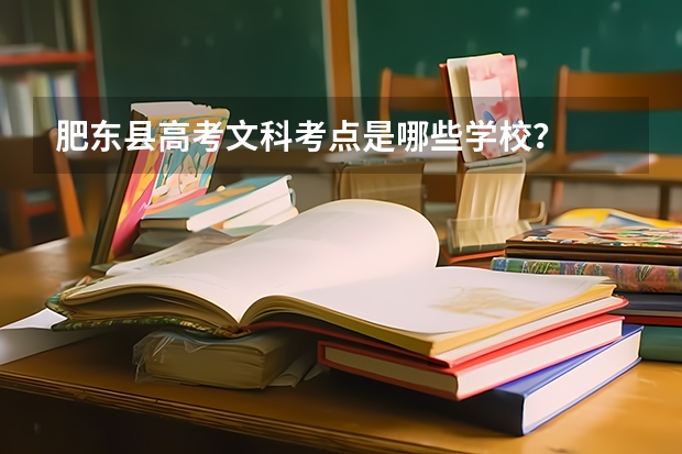 肥东县高考文科考点是哪些学校？
