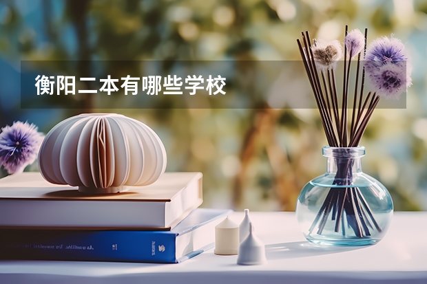 衡阳二本有哪些学校