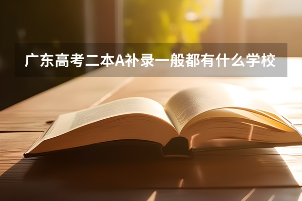 广东高考二本A补录一般都有什么学校