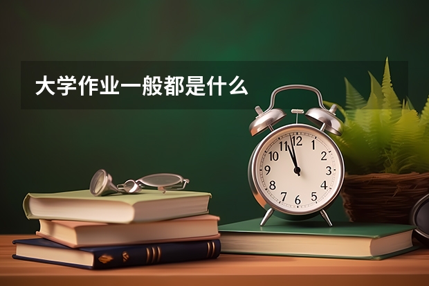 大学作业一般都是什么
