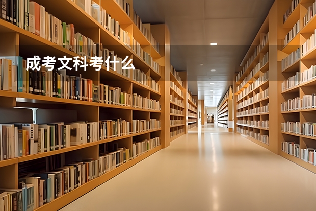 成考文科考什么
