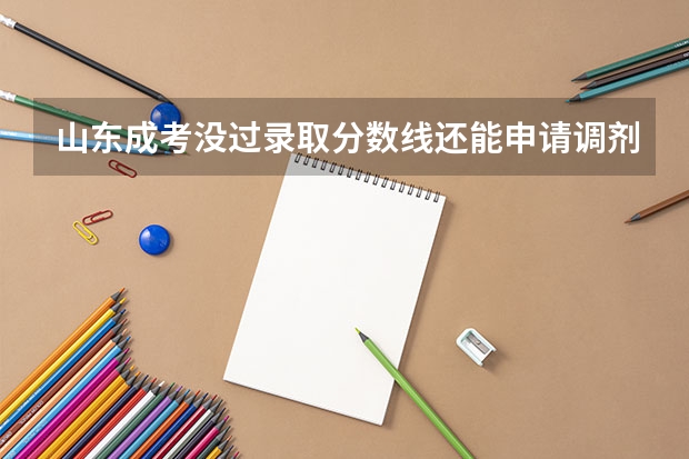 山东成考没过录取分数线还能申请调剂吗？